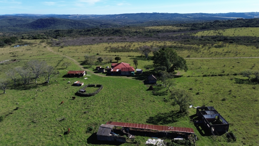 Commercial Property for Sale in Komga Eastern Cape